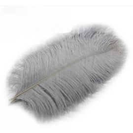 Gray Ostrich Feathers 12-14 inch 100 Pieces