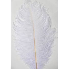 Silver Ostrich Feathers 10-12  inch 12 Pieces