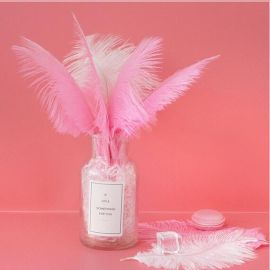 Baby Pink/Light Pink/Candy Pink Ostrich Feathers 12 Pieces-8-10 inch