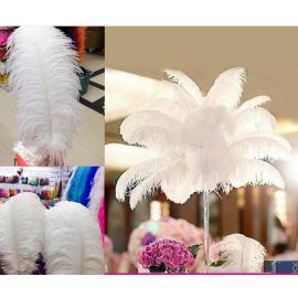 White Ostrich Feathers Male Ostrich Wing Plumes 26-28 inch 12 Pieces