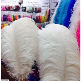 Sale! White Ostrich Feathers 10-12 inches 100 Pieces