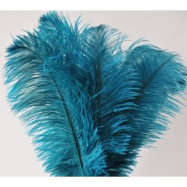 Teal BlueOstrich Feather 8-10 inch 12 pieces