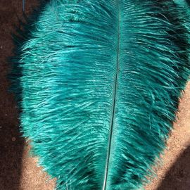 Teal Ostrich Feathers/ /Wings/Plumes/Horse Ostrich Feathers 22-24 inch 12 Pieces