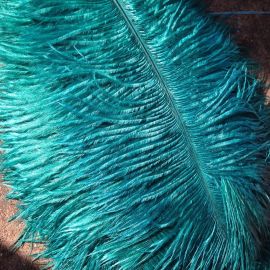 Teal Ostrich Feathers/Plumes/Wings/Horse Ostrich Feather 22-24 inch 50 Pieces