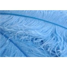 Light Blue/Candy Blue Ostrich Feathers 6-8 inch 100 Pieces