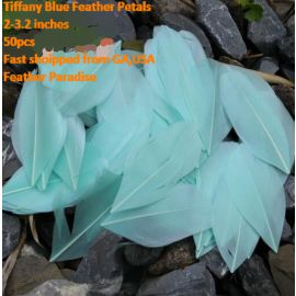 500 Pieces Feather Petals Feather Fillers Feather Confetti Tiffany Blue