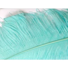 Tiffany Blue Aqua Ostrich Feathers 22-24 inch 50 Pieces