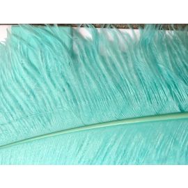 Tiffany Blue/Aqua Ostrich Feathers 10-12 inch 100 Pieces