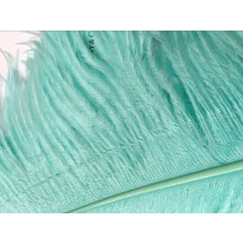 Tiffany Blue Aqua Ostrich Feathers Male Wing Plume 22-24 inch 12 Pieces