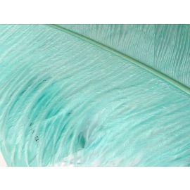 Tiffany Blue Aqua Ostrich Feathers18-20 inch 5 Pieces