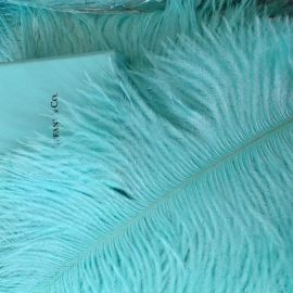 Tiffany Blue/Aqua Ostrich Feathers 18-20 inch 50 Pieces