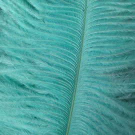 Ostrich Feathers Tiffany Blue/Aqua 18-20 inch 12 Pieces