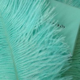 Tiffany Blue/ Aqua Ostrich Feathers 16-18 inches 12 Pieces