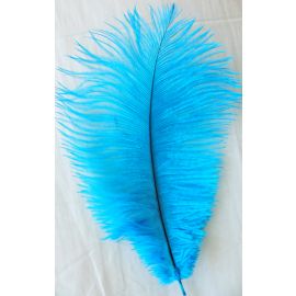 Turquoise Ostrich Feathers 12-14 inch 100 Pieces