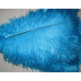 12pcs Turquoise 25-29 inches Ostrich Wing Plume Large South Africa Ostrich Feathers
