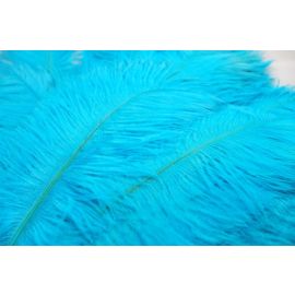 Turquoise Ostrich Feathers 12-14 inch 12 Pieces