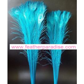 Bleached and Dyed Peacock Eye Feathers 30-35" 12 Pieces - Turquoise