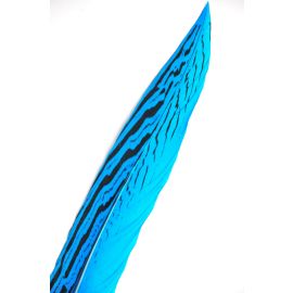 Silver Pheasant Tail 6-8" Turquoise 12 Pieces