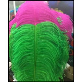 Customized Two-Tone Ostrich Feathers 22-24 inch 100 Pieces