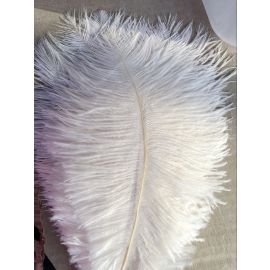 Wholesale!!! White Ostrich Feathers 8-10 inch 1000 Pieces