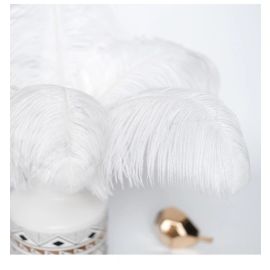 White Ostrich Feathers Male Ostrich Wing Plumes 22-24 inches 100 Pieces