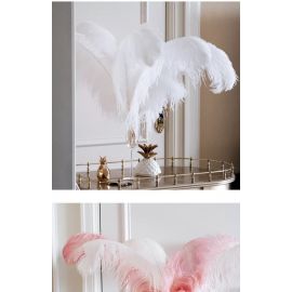 White Ostrich Feathers Male Wing Plumes 26-28 inch 5 Pieces