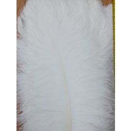 White Ostrich Feathers Male Wing Plumes Large Feathers 26-28 inch 50 Pieces