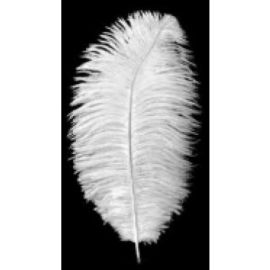 Off White Ostrich Feathers 12-14 inch 100 Pieces