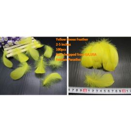 100 Pieces Packed Goose NAGOIRE Feathers Loose Feather  Feather Fillers Feather Confetti Yellow