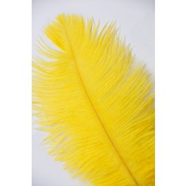 Yellow Ostrich Feathers/Plumes  16-18 inch 5 Pieces